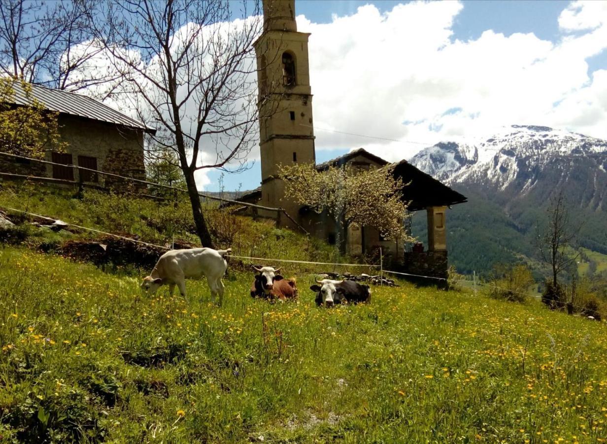 Agri-B&B Lou Col Canosio Exterior photo