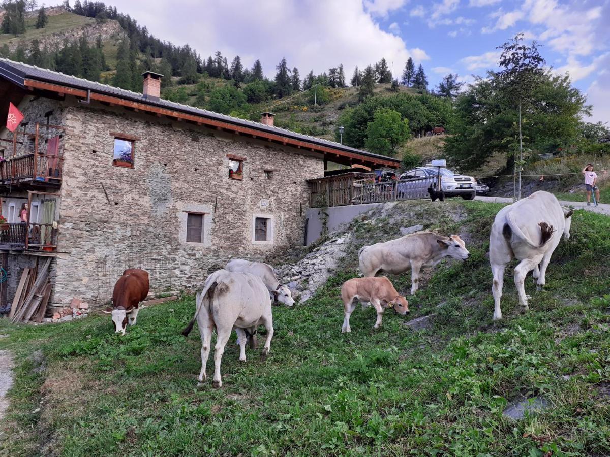 Agri-B&B Lou Col Canosio Exterior photo